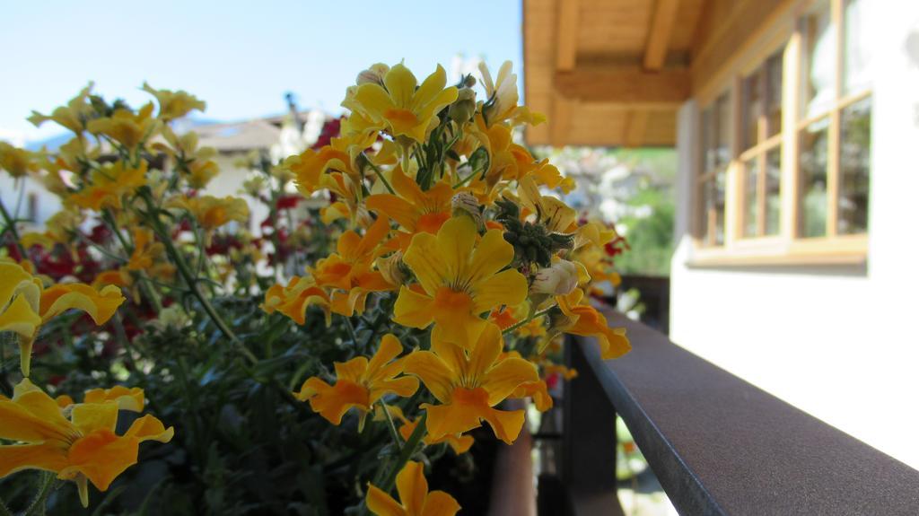 Chalet Casa al Poz Tassullo Kültér fotó